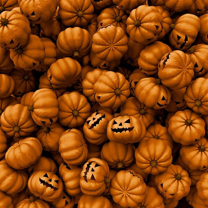Halloween Pumpkins iPad Air, sevimli cadılar bayramı ipad'i HD telefon duvar kağıdı