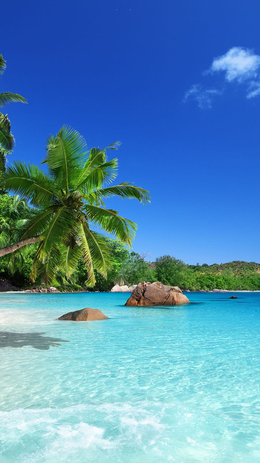 beach, ocean, sand, coast, sky, paradise, summer, sunshine, emerald, blue, palm, sea, tropical … HD phone wallpaper