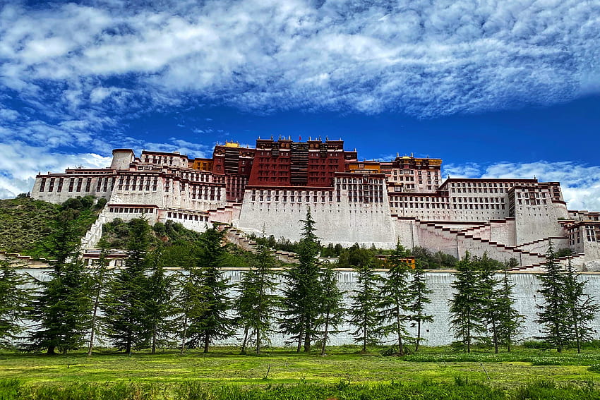 Summer look of the Potala Palace HD wallpaper
