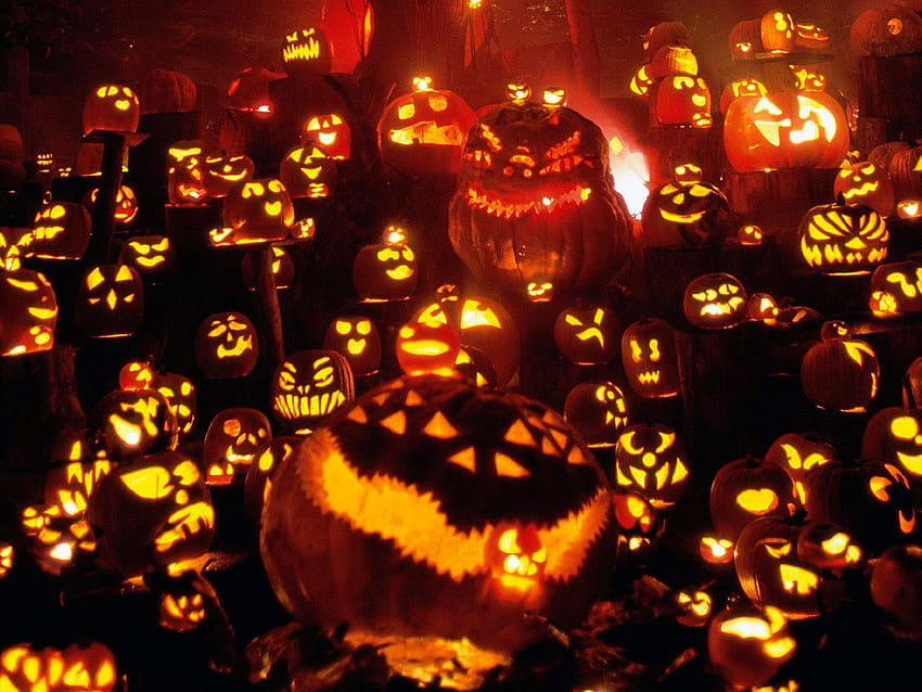 Halloween Pumpkins Festival [1600x1200] für Ihr Handy, Ihr Tablet und Ihr Smartphone HD-Hintergrundbild