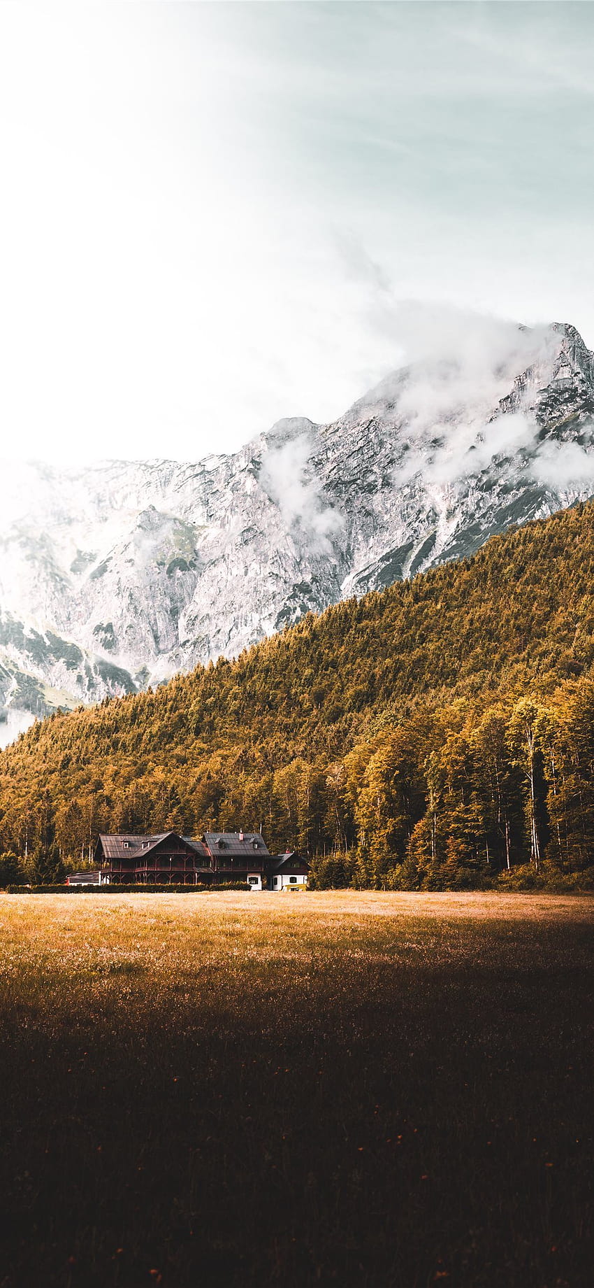 House Forest and Mountain in Austria iPhone X, mountain house HD phone wallpaper