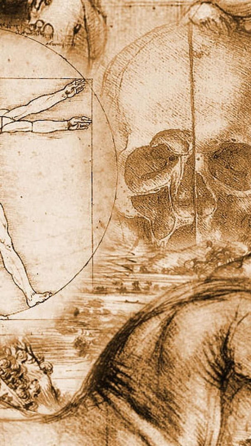 7 Leonardo Da Vinci, davinci HD phone wallpaper