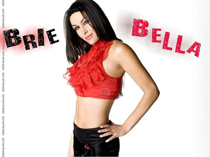 WWE Brie Bella, nikki bella Sfondo HD