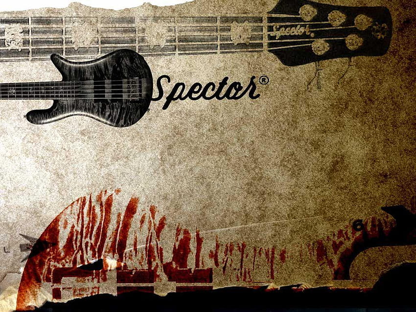 Guitarras: + de 100 Hermosas violas para tu pc, spector bass HD wallpaper