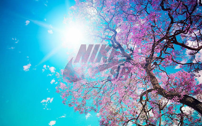 Nike Sb Logo, nike sb pc HD wallpaper