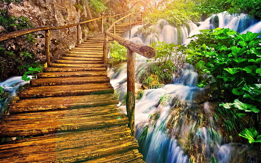 Schöne Holzbrücke auf der Natur voll, nacher voll HD-Hintergrundbild