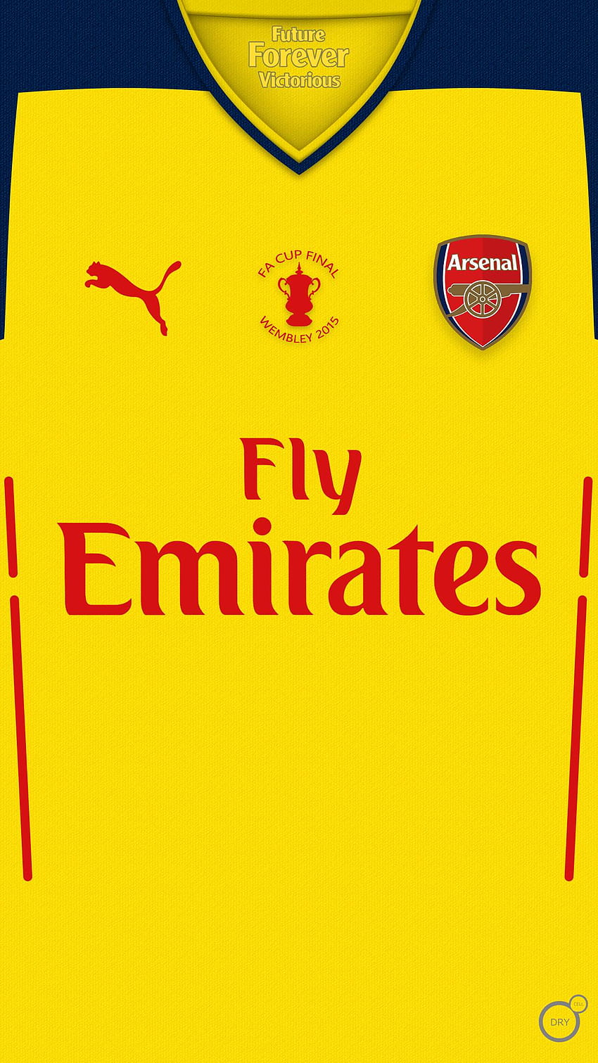 A mobile to celebrate back to back FA cups!, arsenal fc 2018 HD phone wallpaper
