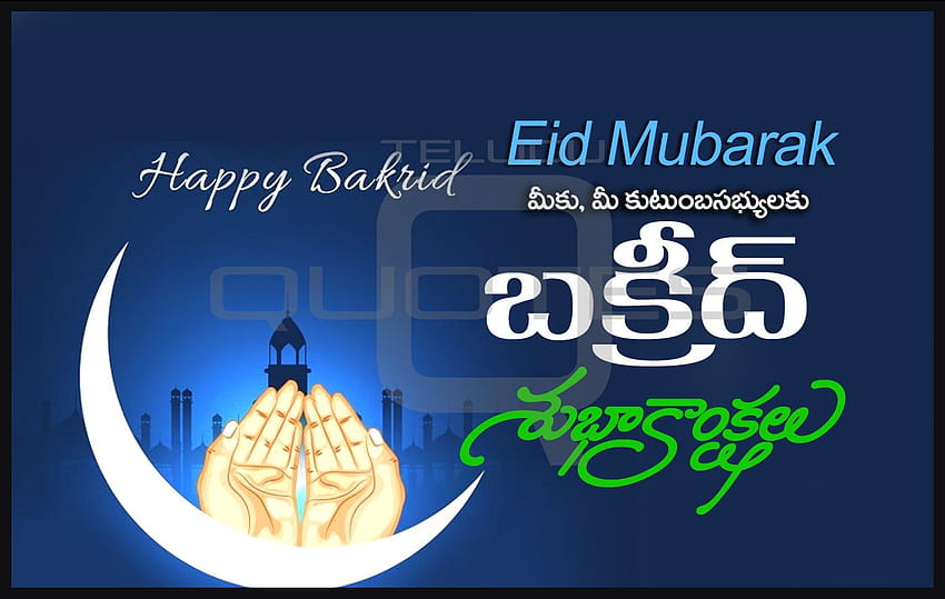 Happy Bakri Eid Eid Al Adha Grüße Telugu Zitate, Bakrid HD-Hintergrundbild