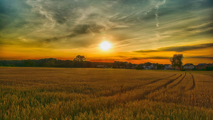 Summer, sunset, farm, landscape, nature , , background, 0296d9, farm landscape HD wallpaper