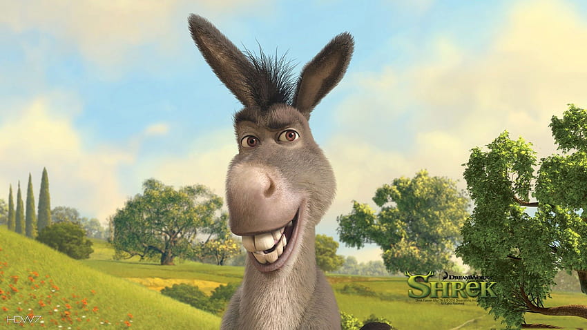 donkey from shrek HD wallpaper