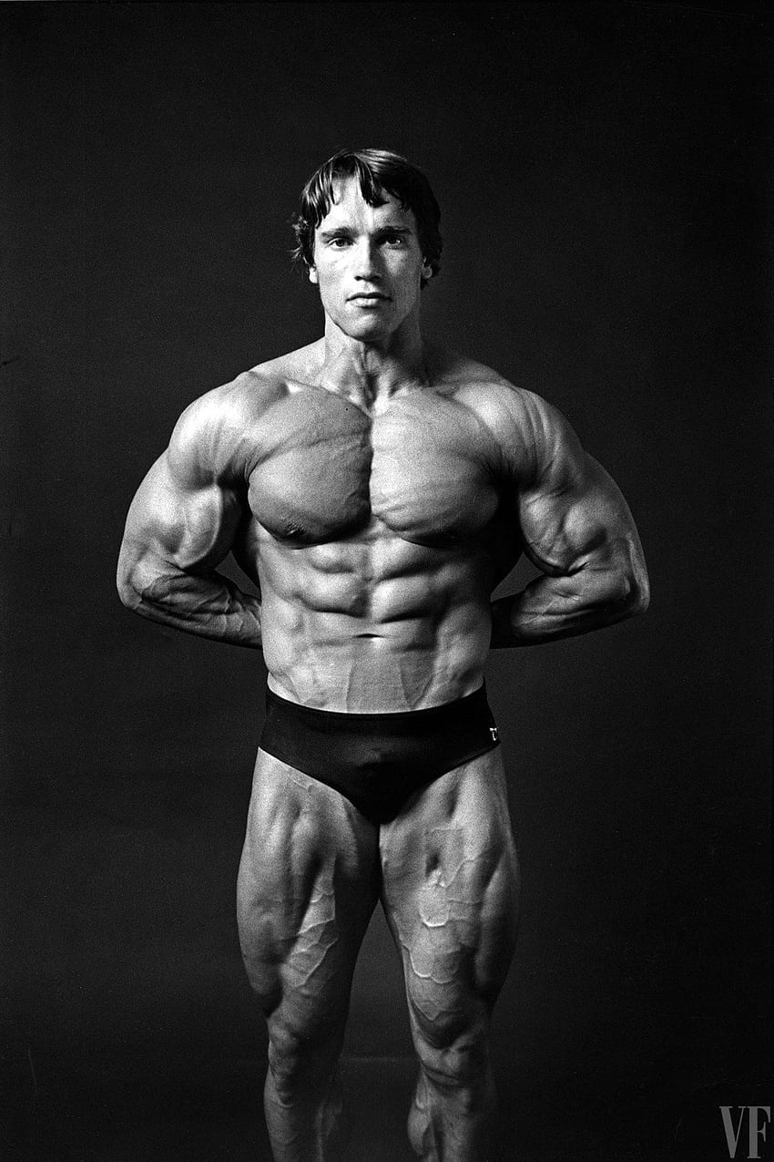 Pumping Iron: 20 rzadko spotykanych dzieł Arnolda Schwarzeneggera Tapeta na telefon HD