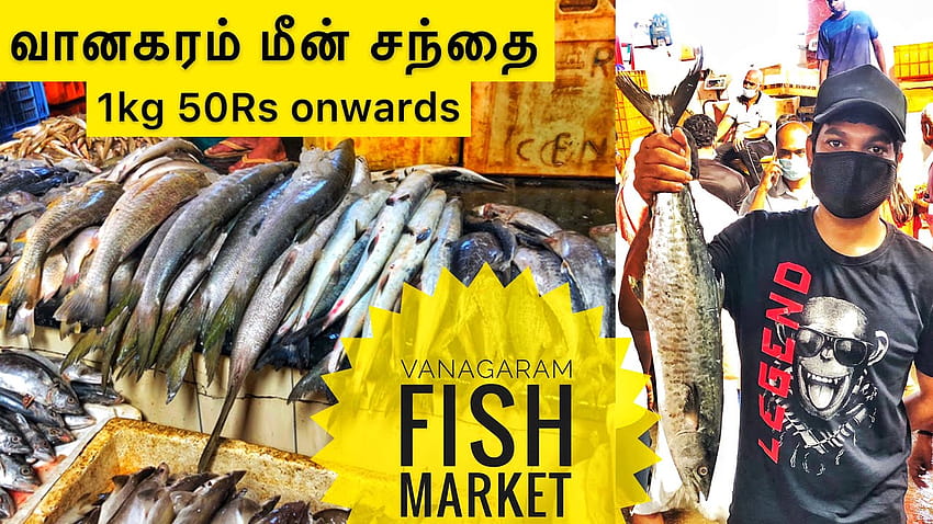 Рибен пазар Vanagaram, най-добрият рибен пазар на едро в Ченай HD тапет