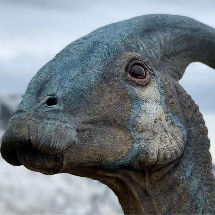 Jurassic World: Dominion' Director Says Film Used 'Real Dinosaur', Here's Proof, jurassic world dominion 2022 HD phone wallpaper