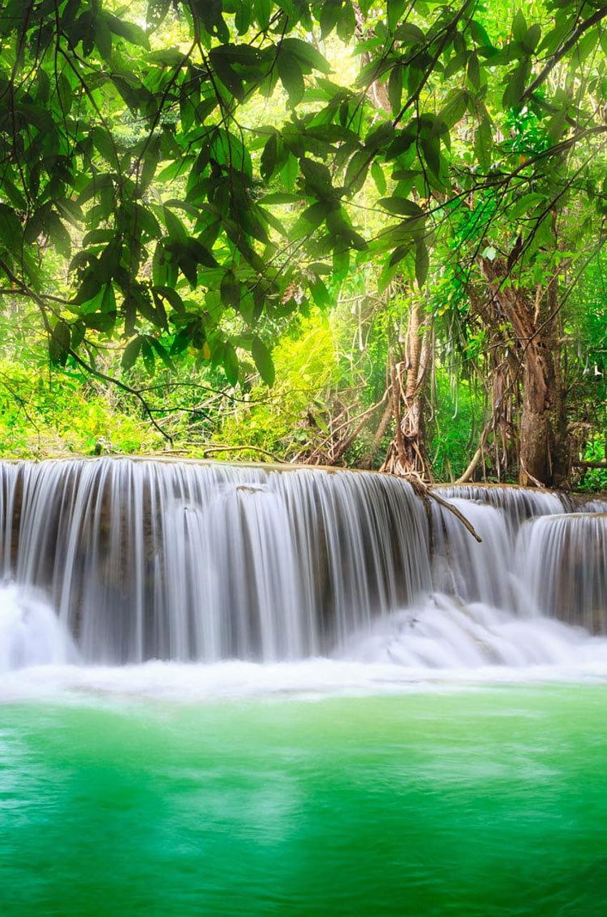 Green Nature Tropical Waterfall iphone, green nature iphone HD電話の壁紙