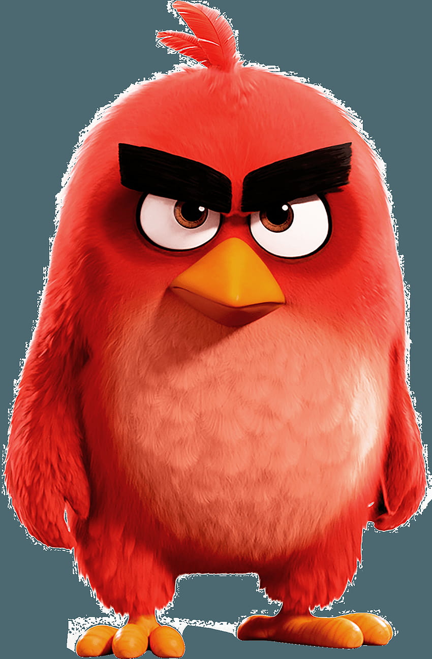 [4 The Angry Birds Movie 2, angry birds android HD phone ...