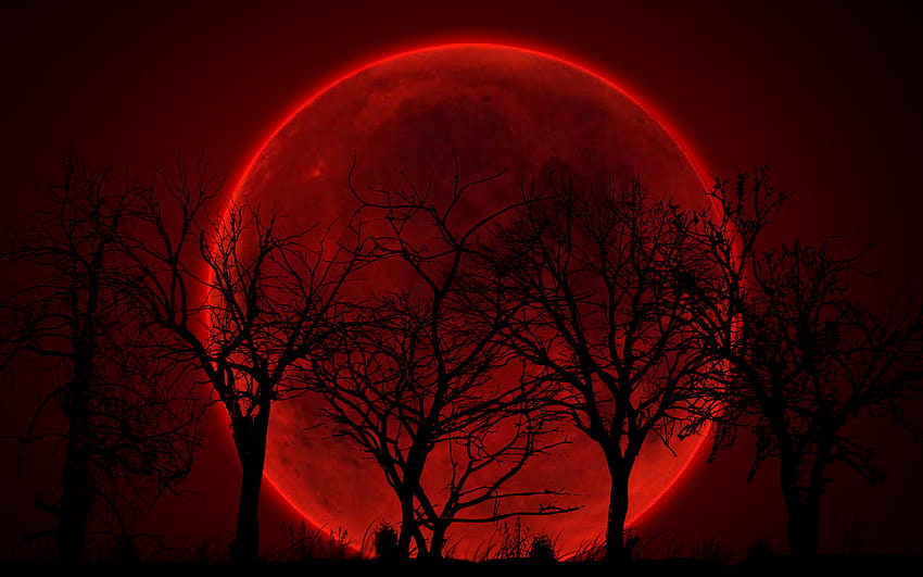 Кървава червена луна, червена луна за Хелоуин HD тапет