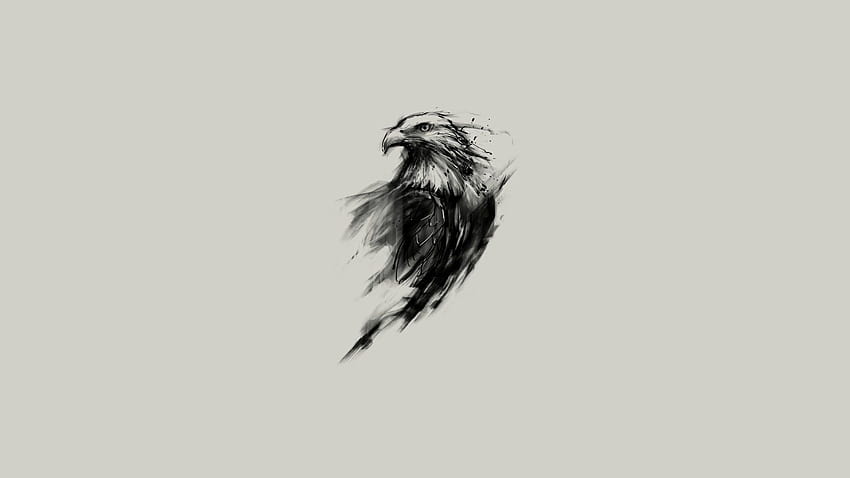 sketsa elang elang botak latar belakang sederhana digital… Wallpaper HD