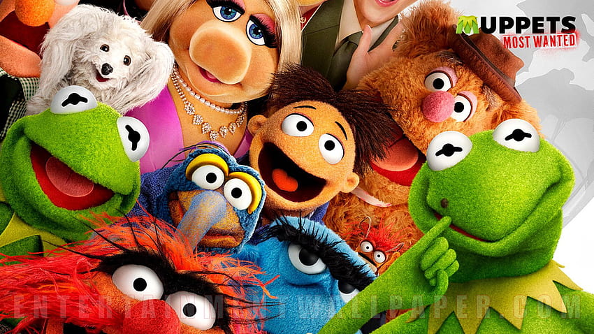 Muppets Most Wanted, muppets animal HD wallpaper