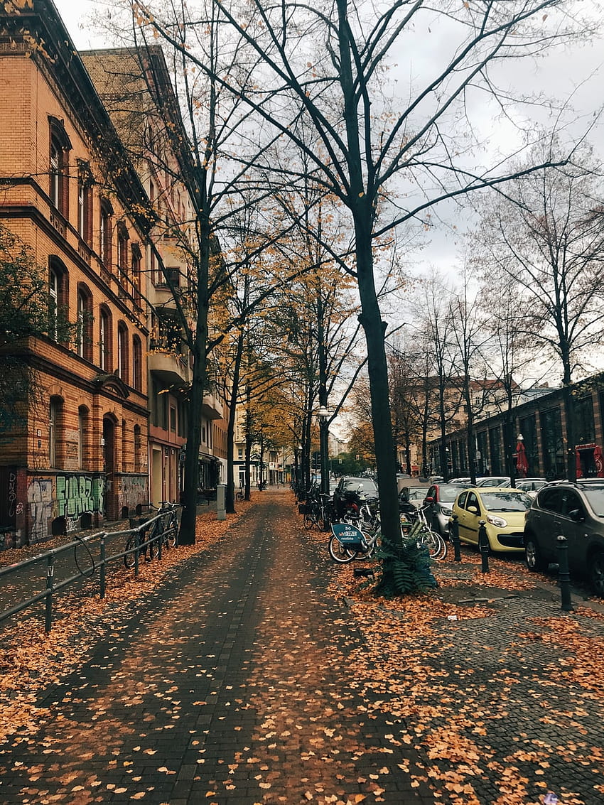 55 Berlin, autumn berlin HD phone wallpaper