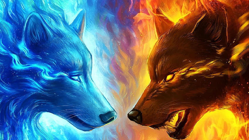 オオカミとキツネ、赤と青のキツネ 高画質の壁紙