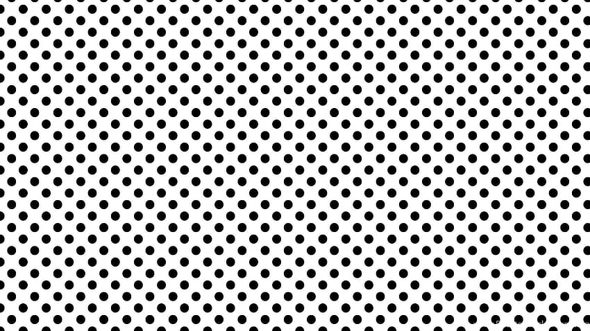 Borda de bolinhas preto e branco pequenas bolinhas. Pontos... Planos de fundo, pontos preto e branco papel de parede HD