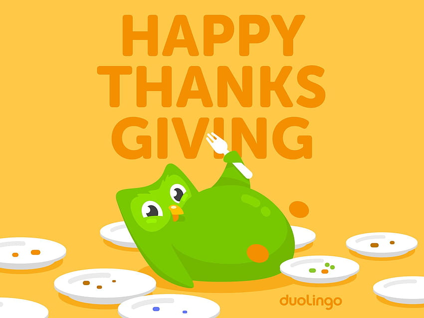 Publicación de Acción de Gracias de Duolingo, meme de duolingo fondo de pantalla