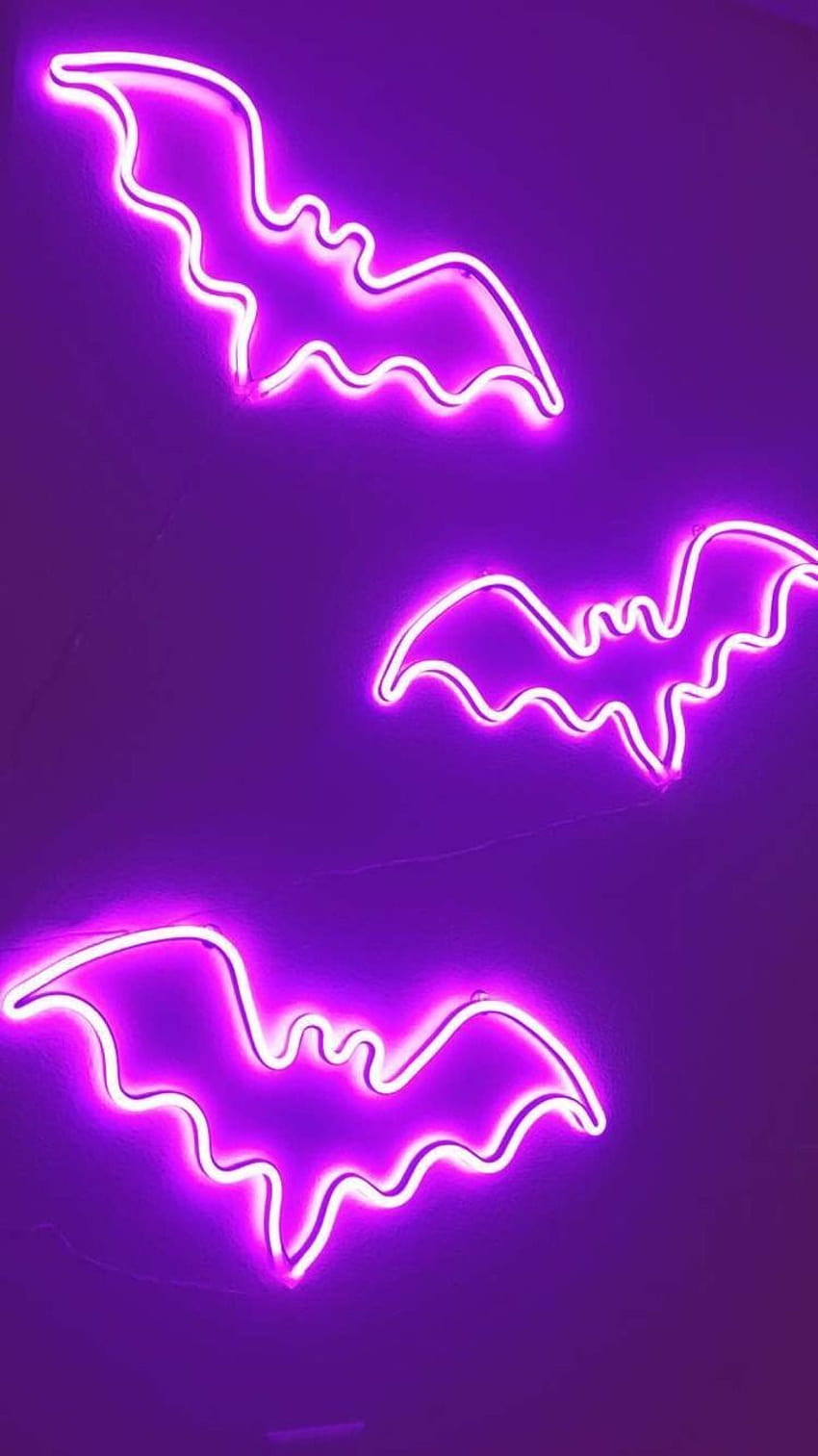 pinkpentagram: “Evimdeki süslemeler. ✨ ”, pembe cadılar bayramı neon HD telefon duvar kağıdı