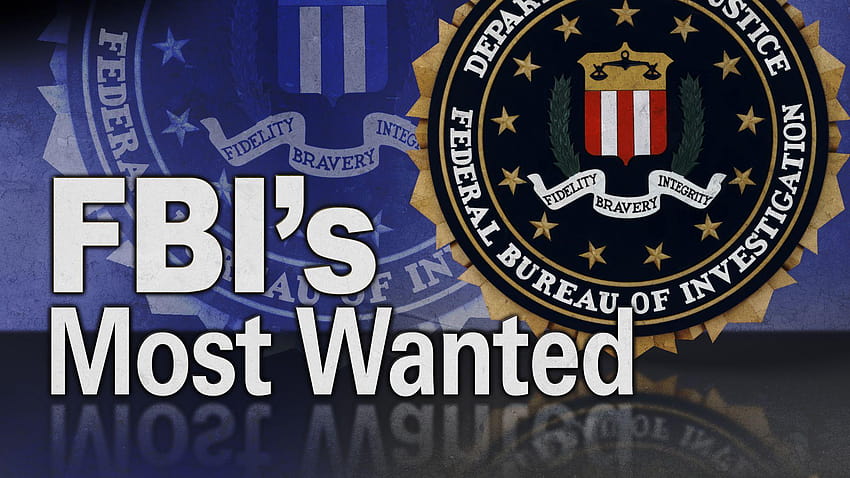 The FBI, interpol police HD wallpaper