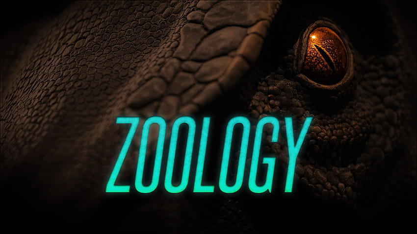 614,834 Zoology Zoological Animal Images, Stock Photos, 3D objects, &  Vectors | Shutterstock