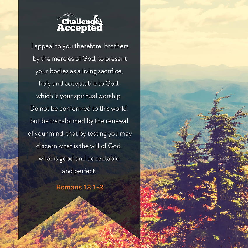 QSBC P Twitter Romans 12 HD Phone Wallpaper Pxfuel qsbc-p-twitter-romans-12-hd-phone-wallpaper-pxfuel