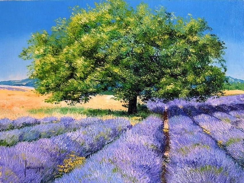 Field: Tree Lavender Field Painting Nature Yellow Purple Art Green, summer fields HD wallpaper