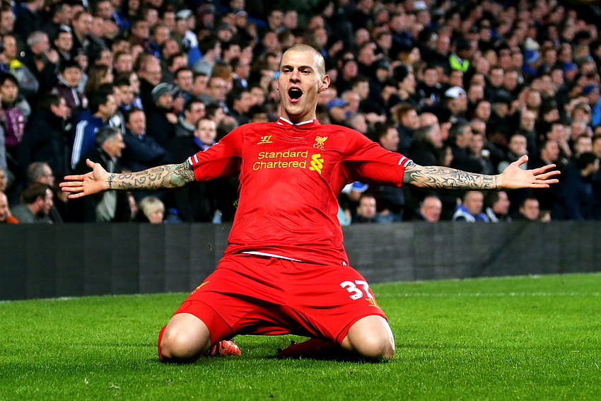 Newcastle target Martin Skrtel wants to stay at Fenerbahce HD wallpaper