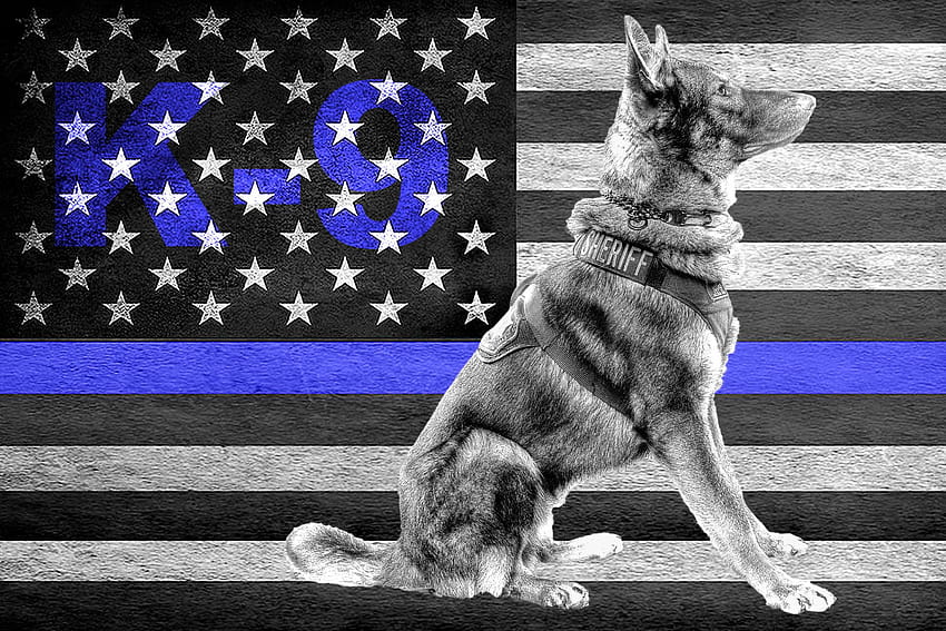 Тънка синя линия K9, подарък за офицер K9, полицейско куче, стенопис, полицейски k9 HD тапет