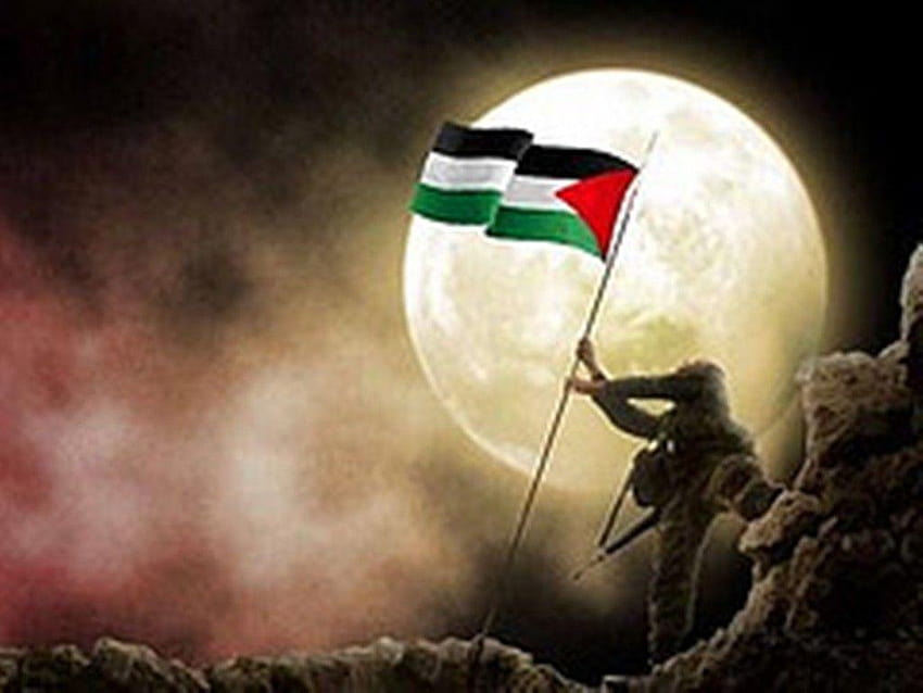 Pasukan Jubah Putih Di Gaza, Siapakah Mereka?, pejuang palestina papel de parede HD