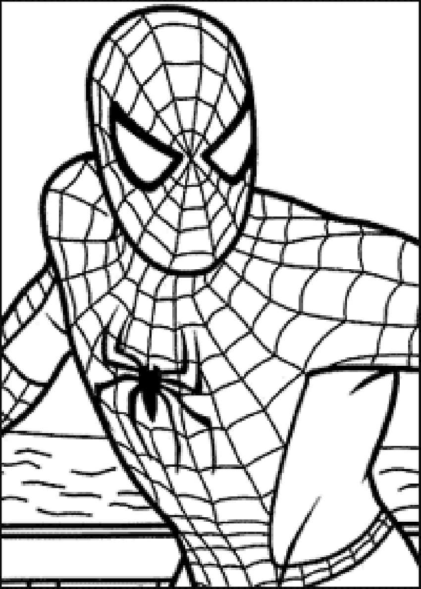 spiderman coloring pages HD phone wallpaper