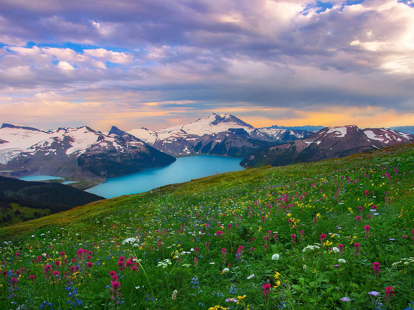 โลก ทุ่งดอกไม้ ทะเลสาบ ภูมิทัศน์ ภูเขา ฤดูใบไม้ผลิ ดอกไม้ป่า ทะเลสาบในฤดูใบไม้ผลิ และดอกไม้ วอลล์เปเปอร์ HD