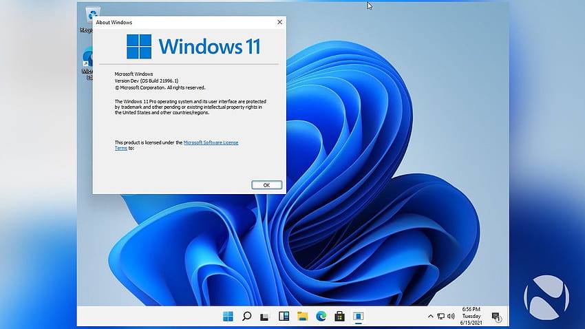 How To Install Windows 11 HD wallpaper