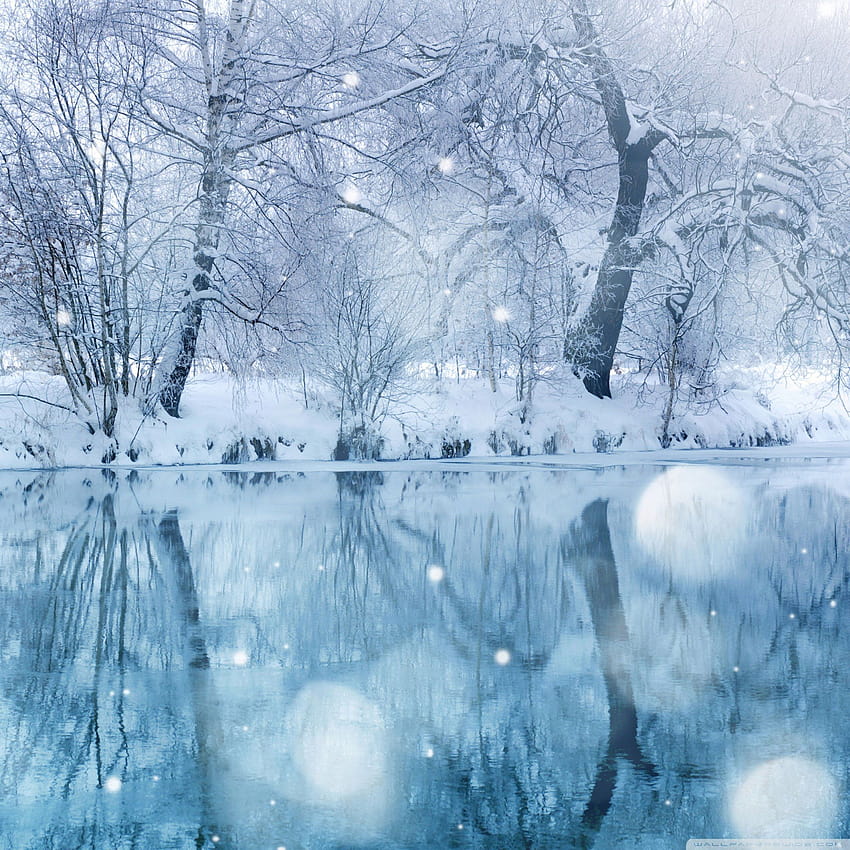 Ultra Winter, vintage winter wonderland HD phone wallpaper