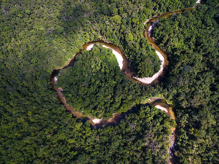 บราซิล ป่าอะเมซอน ธรรมชาติ ป่า แม่น้ำ จากด้านบน ป่าอเมซอน บราซิล วอลล์เปเปอร์ HD