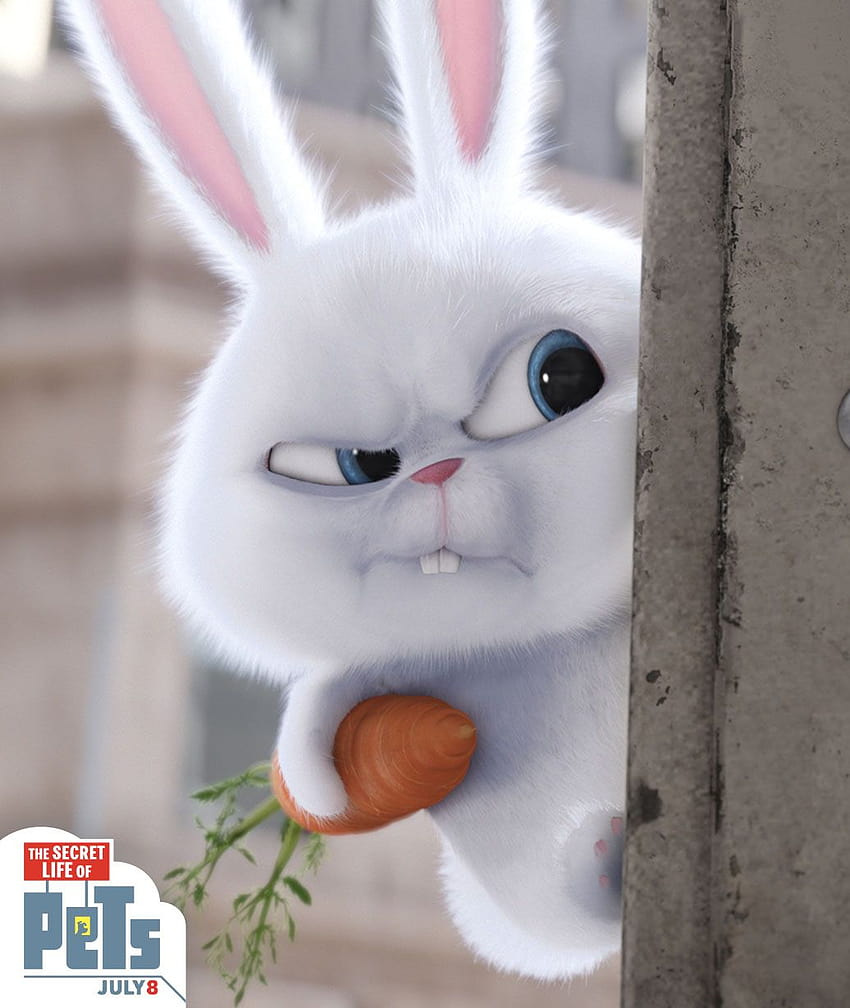 눈덩이 토끼는 폭신폭신한 흰색 다이너마이트입니다. HD 전화 배경 화면