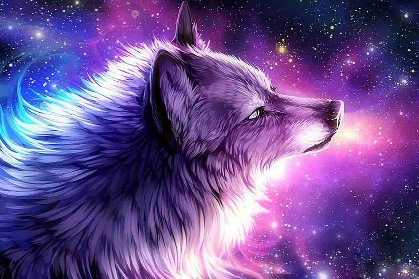Galaxy Cute Aesthetic Wolf, lobos lindos fondo de pantalla