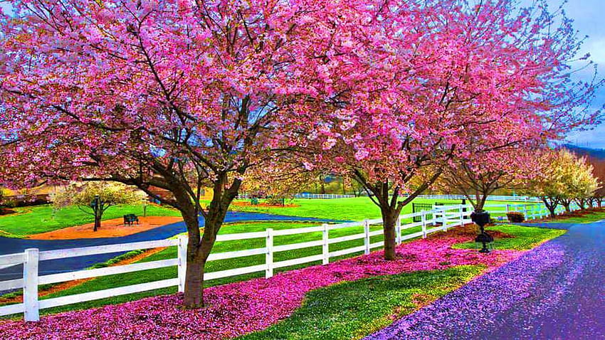 83 Entries In Spring Computer Backgrounds Group, pc spring HD wallpaper