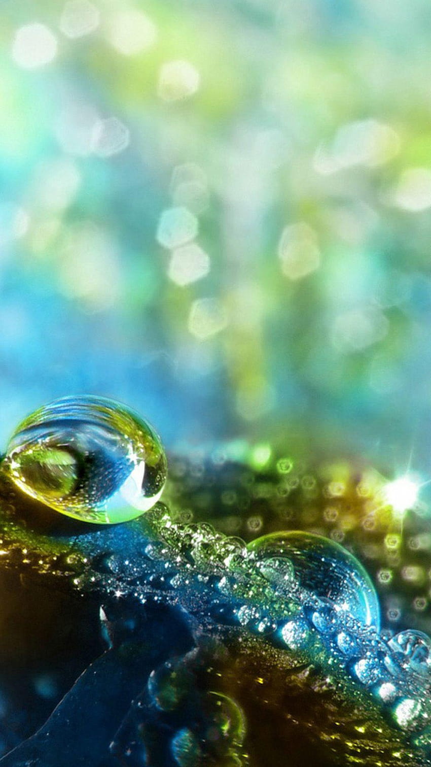 Green Water Drops Macro Samsung Galaxy S5 Android, black feather water drops HD phone wallpaper