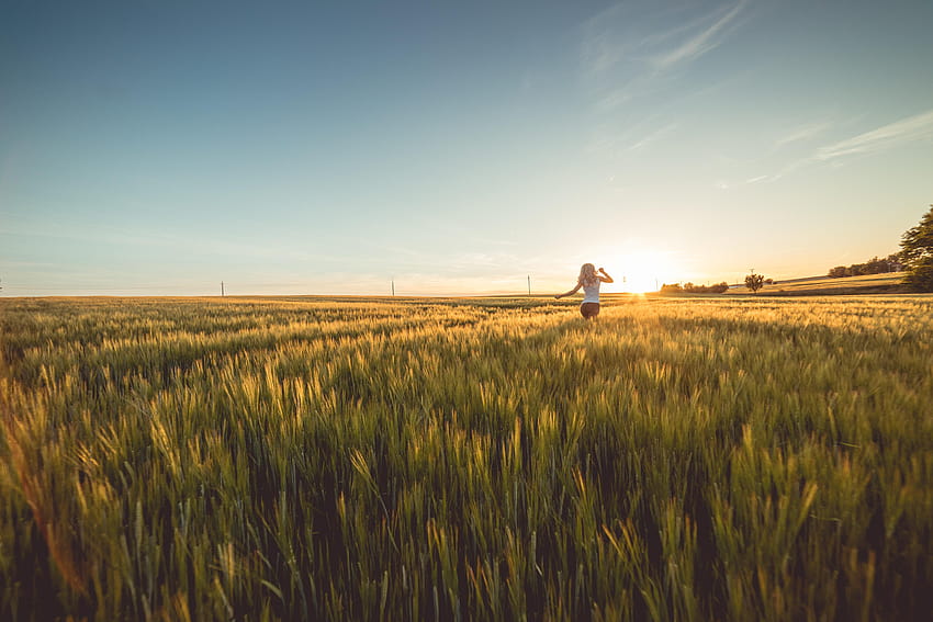 サンセットストックの小麦畑を走る若い女性、野原で自由奔放に生きる女の子 高画質の壁紙