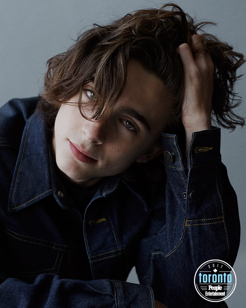 Timothee Chalamet: What to Know About Call Me By Your Name, aesthetic timothee chalamet HD phone wallpaper