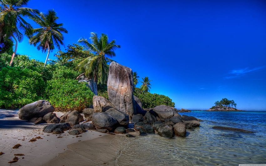 Tropical Paradise, beach, palms, sand, sea, seychelles, HD phone wallpaper  | Peakpx