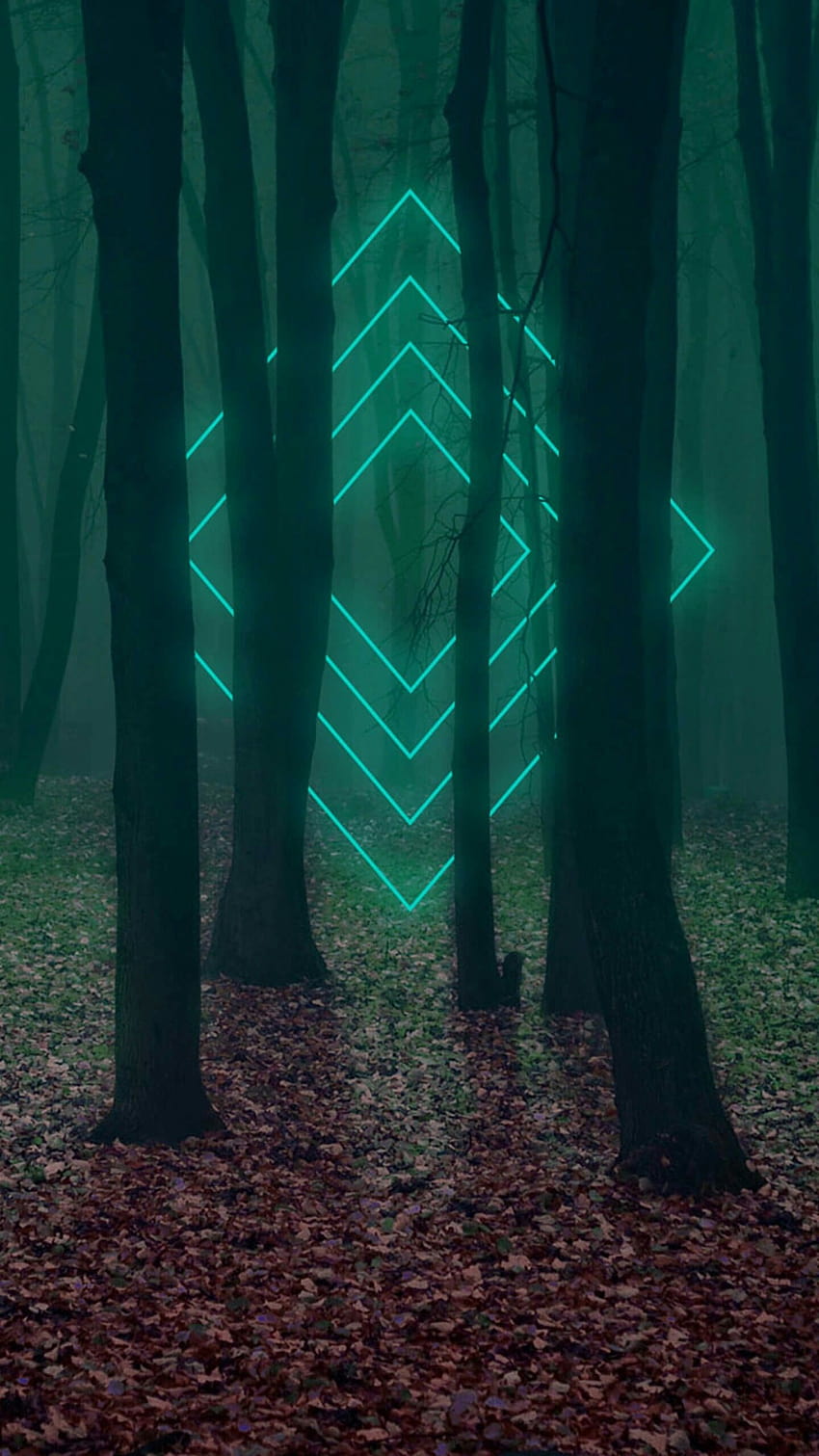 Discover the coolest toedit, neon forest HD phone wallpaper