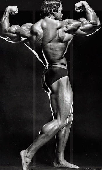 Arnold bodybuilding HD wallpapers | Pxfuel