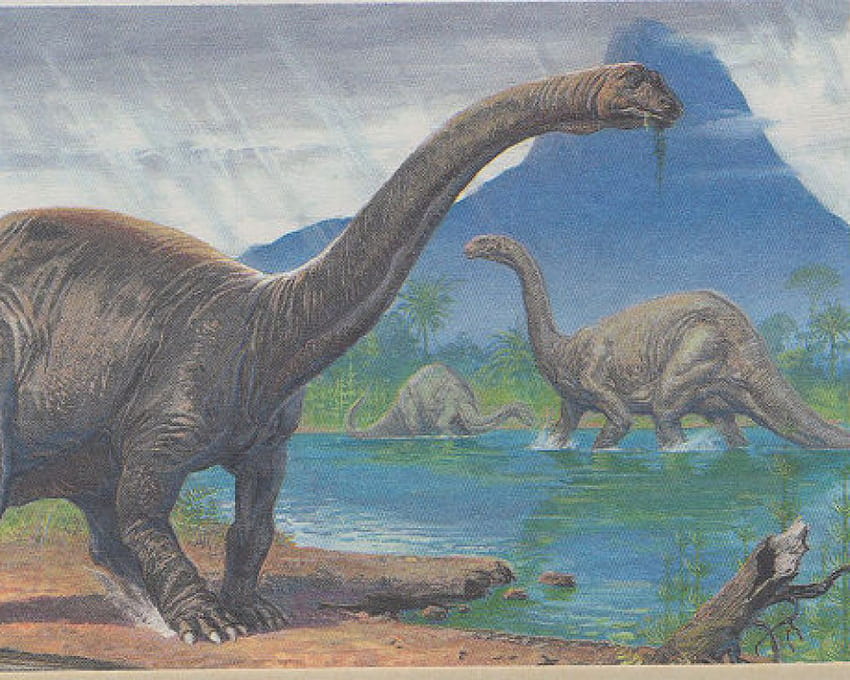 O brontossauro está de volta, brontossauros bebês papel de parede HD
