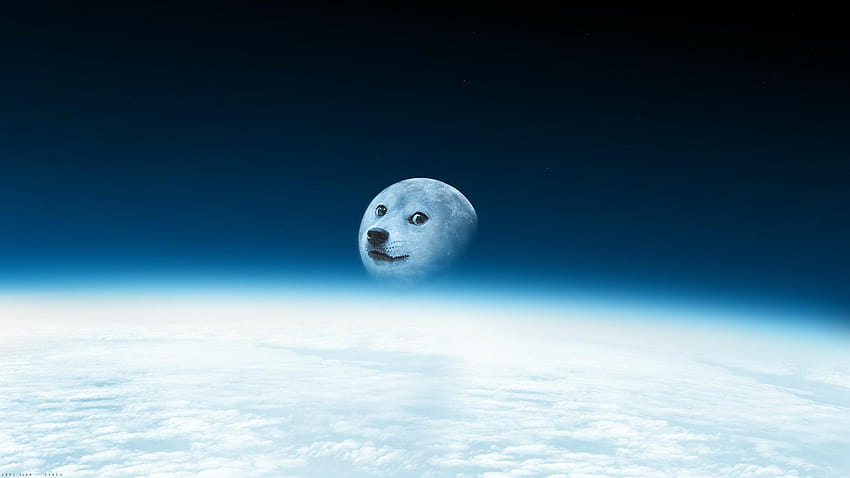 twinkie doge in space